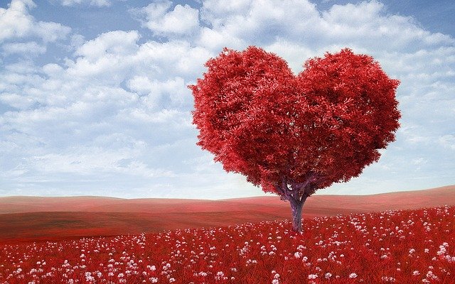 Heart Shaped Tree