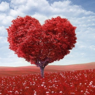 Heart Shaped Tree